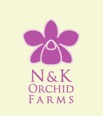 N & K Orchid Farms Co.,Ltd : Orchid Exporter From Thailand, Fresh Cut Orchid flowers, Orchid Bouquets, Orchid Leis and Loose Flowers, and Orchid Plants.    